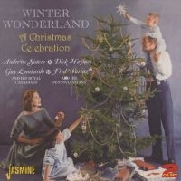 Blandade Artister - Winter Wonderland - A Christmas Cel in der Gruppe CD bei Bengans Skivbutik AB (1008133)