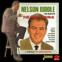 Riddle Nelson - Joy Of Living (A Riddle Of Contrast in der Gruppe CD bei Bengans Skivbutik AB (1008150)