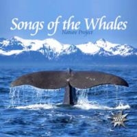 Various Artists - Songs Of The Whales in der Gruppe CD bei Bengans Skivbutik AB (1012692)