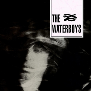 The Waterboys - Waterboys in der Gruppe UNSERE TIPPS / Weihnachtsgeschenktipp Vinyl bei Bengans Skivbutik AB (1020032)