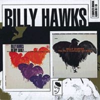 Hawks Billy - New Genius Of The Blues/Heavy Soul! in der Gruppe CD / Pop-Rock bei Bengans Skivbutik AB (1060428)