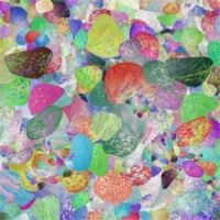 Grumbling Fur - Preternaturals in der Gruppe VINYL bei Bengans Skivbutik AB (1099023)