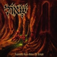 SHEOL - SEPULCHRAL RUINS BELOW THE TEMPLE in der Gruppe CD bei Bengans Skivbutik AB (1110930)