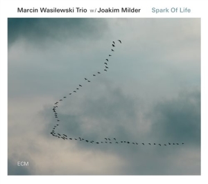 Marcin Wasilewski Trio W/Joakim Mil - Spark Of Life in der Gruppe UNSERE TIPPS / Klassiska lablar / ECM Records bei Bengans Skivbutik AB (1131056)