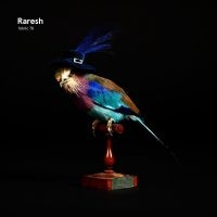 Raresh - Fabric 78 : in der Gruppe CD bei Bengans Skivbutik AB (1136819)