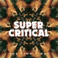 Ting Tings - Super Critical in der Gruppe CD bei Bengans Skivbutik AB (1142475)