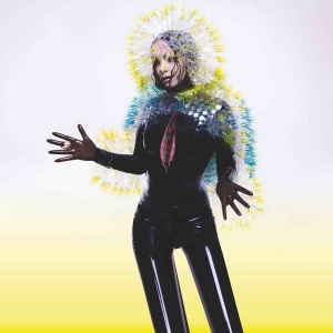 Bjork - Vulnicura in der Gruppe CD bei Bengans Skivbutik AB (1190045)