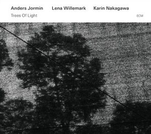 Jormin / Willemark / Nakagawa - Trees Of Light in der Gruppe CD bei Bengans Skivbutik AB (1244213)