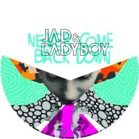 Jad & The Ladyboy - Never Come Back Down in der Gruppe VINYL bei Bengans Skivbutik AB (1244308)