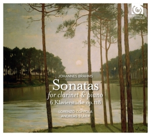 Brahms Johannes - Sonatas For Clarinet & Piano in der Gruppe CD bei Bengans Skivbutik AB (1309902)