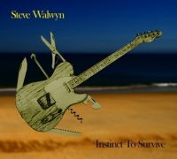 Walwyn Steve - Instinct To Survive in der Gruppe CD bei Bengans Skivbutik AB (1484019)