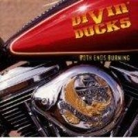 DIVIN DUCKS - BOTH ENDS BURNING in der Gruppe UNSERE TIPPS / Weihnachtsgeschenktipp CD bei Bengans Skivbutik AB (1510711)