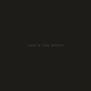 Bring Me The Horizon - That's The Spirit in der Gruppe UNSERE TIPPS / Weihnachtsgeschenktipp Vinyl bei Bengans Skivbutik AB (1516634)