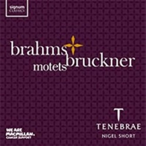 Brahms / Bruckner - Motets in der Gruppe UNSERE TIPPS / Weihnachtsgeschenktipp CD bei Bengans Skivbutik AB (1740164)