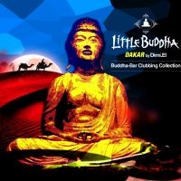 Blandade Artister - Little Buddha V in der Gruppe CD bei Bengans Skivbutik AB (1795873)