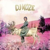 Dj Koze - Amygdala in der Gruppe CD bei Bengans Skivbutik AB (1796923)