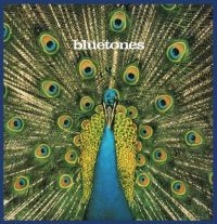 Bluetones - Expecting To Fly - 20Th Ann.Edition in der Gruppe CD bei Bengans Skivbutik AB (1798115)