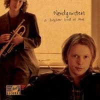 Nordgarden Terje - A Brighter Kind Of Blue in der Gruppe CD bei Bengans Skivbutik AB (1810393)