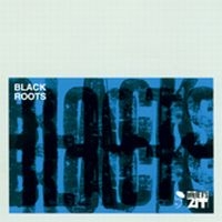 Various Artists - Black Roots in der Gruppe CD bei Bengans Skivbutik AB (1810455)