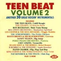 Various Artists - Teen Beat Vol 2 in der Gruppe CD bei Bengans Skivbutik AB (1810813)