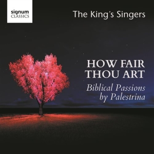 Palestrina Giovanni Pierluigi Da - How Fair Thou Art in der Gruppe UNSERE TIPPS / Weihnachtsgeschenktipp CD bei Bengans Skivbutik AB (1847540)