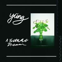 Yung - A Youthful Dream - Ltd.Ed. in der Gruppe VINYL / Pop-Rock bei Bengans Skivbutik AB (1914617)