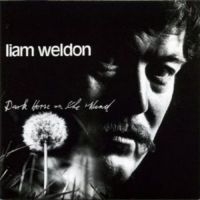 Weldon Liam - Dark Horse On The Wind in der Gruppe CD bei Bengans Skivbutik AB (1968722)