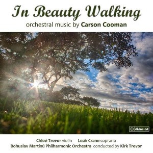 Cooman Carson - Cooman: In Beauty Walking in der Gruppe UNSERE TIPPS / Weihnachtsgeschenktipp CD bei Bengans Skivbutik AB (2016675)