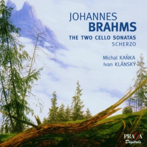 Gary Hoffman - Brahms: Cello Sonatas in der Gruppe CD bei Bengans Skivbutik AB (2034235)