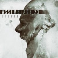 Assemblage 23 - Endure Limited Edition Lp in der Gruppe VINYL bei Bengans Skivbutik AB (2060755)