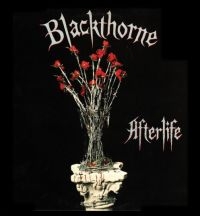 Blackthorne - Afterlife - Expanded in der Gruppe CD bei Bengans Skivbutik AB (2060885)