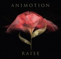 Animotion - Raise Your Expectations in der Gruppe CD bei Bengans Skivbutik AB (2063983)