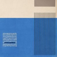 PREOCCUPATIONS - PREOCCUPATIONS in der Gruppe VINYL bei Bengans Skivbutik AB (2084090)