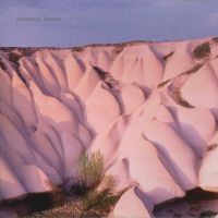 Autechre - Amber in der Gruppe VINYL bei Bengans Skivbutik AB (2098396)