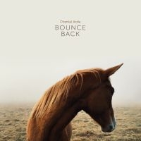 Acda Chantal - Bounce Back (Inkl.Cd) in der Gruppe VINYL bei Bengans Skivbutik AB (2400172)