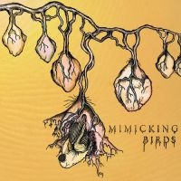 Mimicking Birds - Mimicking Birds in der Gruppe CD bei Bengans Skivbutik AB (2404696)