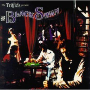 Triffids - Black Swan in der Gruppe CD / Pop-Rock bei Bengans Skivbutik AB (2414252)