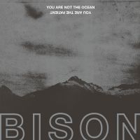 Bison - You Are Not The Ocean You Are The P in der Gruppe VINYL bei Bengans Skivbutik AB (2437222)