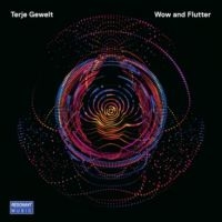 Gewelt Terje - Wow And Flutter in der Gruppe CD bei Bengans Skivbutik AB (2461943)