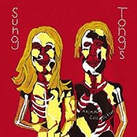 ANIMAL COLLECTIVE - SUNG TONGS in der Gruppe UNSERE TIPPS / Weihnachtsgeschenktipp CD bei Bengans Skivbutik AB (2547700)