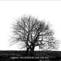 Mr David Viner - Among The Rumours And The R in der Gruppe CD bei Bengans Skivbutik AB (2998361)