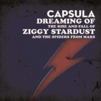 Capsula - Dreaming Of/ The Rise And Fall in der Gruppe VINYL bei Bengans Skivbutik AB (3044194)