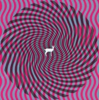 Deerhunter - Cryptograms in der Gruppe VINYL bei Bengans Skivbutik AB (3096980)