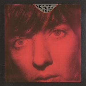 Courtney Barnett - Tell Me How You Really Feel in der Gruppe Minishops / Courtney Barnett bei Bengans Skivbutik AB (3113618)