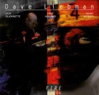 Liebman Dave - Fire in der Gruppe CD bei Bengans Skivbutik AB (3178316)