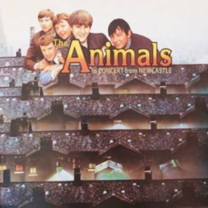 Animals - In Concert From Newcastle 1963 in der Gruppe CD bei Bengans Skivbutik AB (3264665)