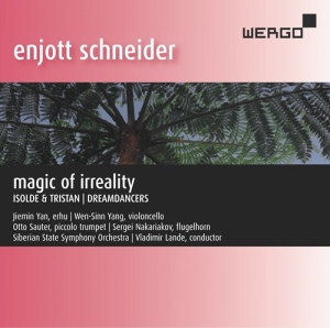 Schneider Enjott - Magic Of Irreality in der Gruppe UNSERE TIPPS / Weihnachtsgeschenktipp CD bei Bengans Skivbutik AB (3266800)