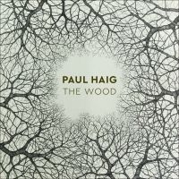 Haig Paul - Wood in der Gruppe CD / Pop-Rock bei Bengans Skivbutik AB (3275460)