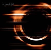 Pineapple Thief - Dissolution in der Gruppe UNSERE TIPPS / Weihnachtsgeschenktipp Vinyl bei Bengans Skivbutik AB (3277399)