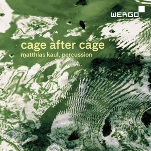 Cage John - Cage After Cage in der Gruppe UNSERE TIPPS / Weihnachtsgeschenktipp CD bei Bengans Skivbutik AB (3311257)